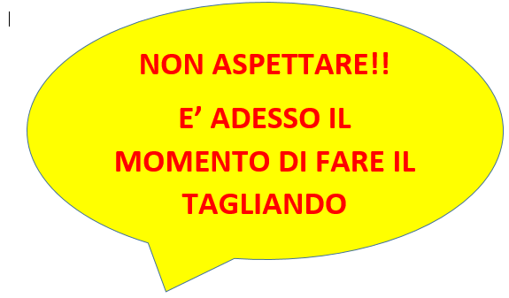 MANUTENZIONE DI FINE STAGIONE